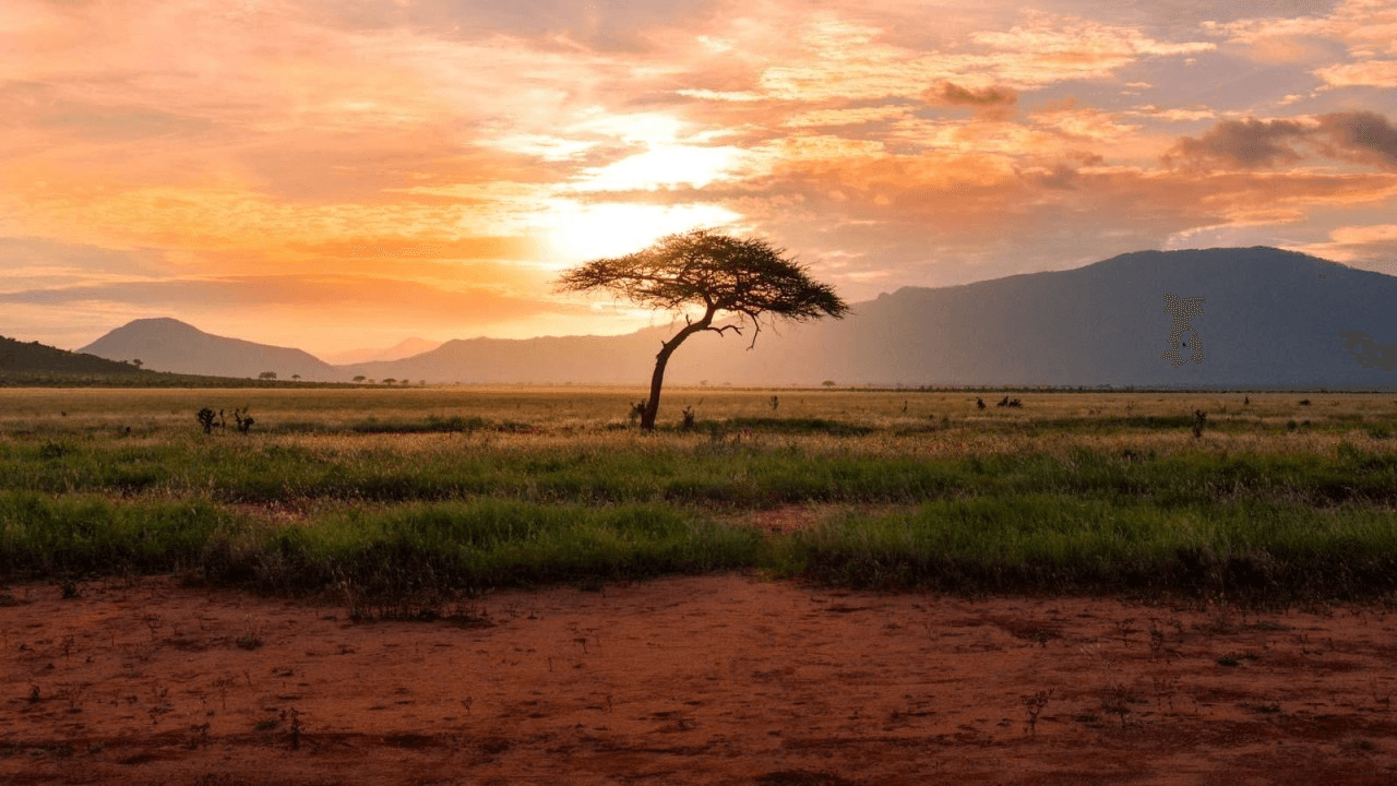 Le sous-investissement chronique dans l’agriculture africaine : une bombe à retardement que la crise d’Ormuz vient d’allumer