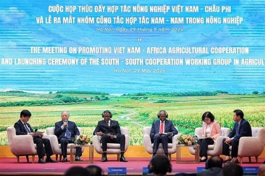 Coopération agricole : le Vietnam veut renforcer son ancrage en Afrique