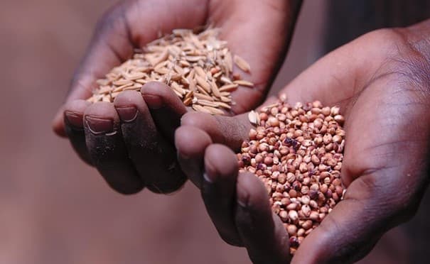 Madagascar : des organisations paysannes dénoncent l’opacité des négociations sur l’Accord de partenariat économique avec l’UE