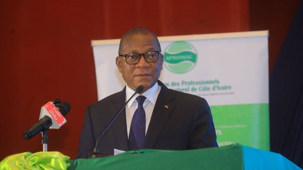 Côte d’Ivoire : La réforme des prix ouvre une nouvelle ère pour la filière hévéa
