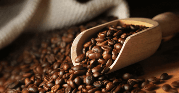 Ouganda : les recettes du café reculent en mai malgré une dynamique annuelle encore favorable