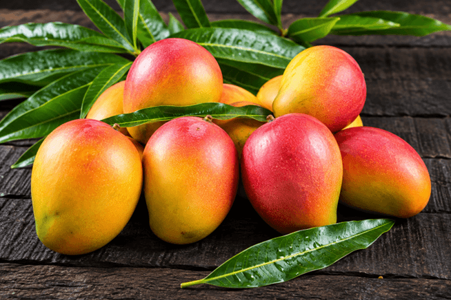 La mangue rejoint le giron du Conseil Coton-Anacarde Karité