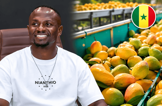 Sadio Mané engage 11,7 milliards FCFA dans la mangue