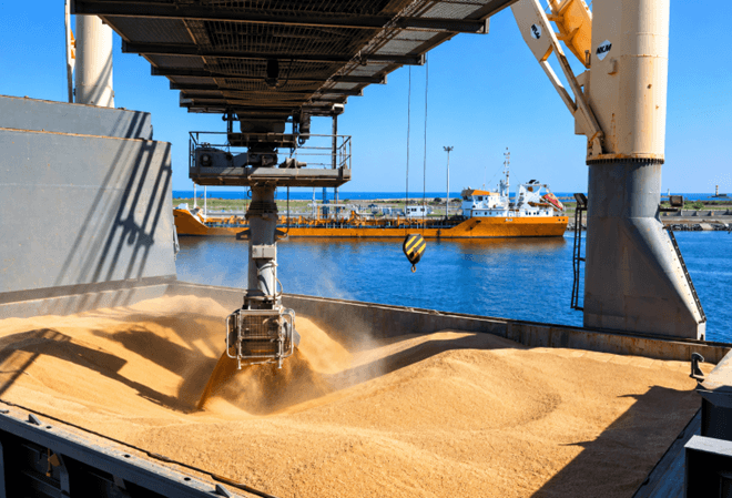 L’Égypte cherche son blé hors de la mer Noire